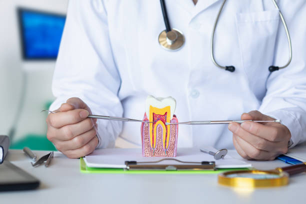 Best Walk-In Emergency Dental Services in Pocahontas, AR